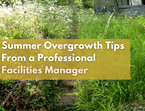 Summer Overgrowth Tips From a Professional Facilities Manager