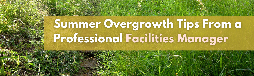 Professional Grounds Maintenance Overgrowth Tips